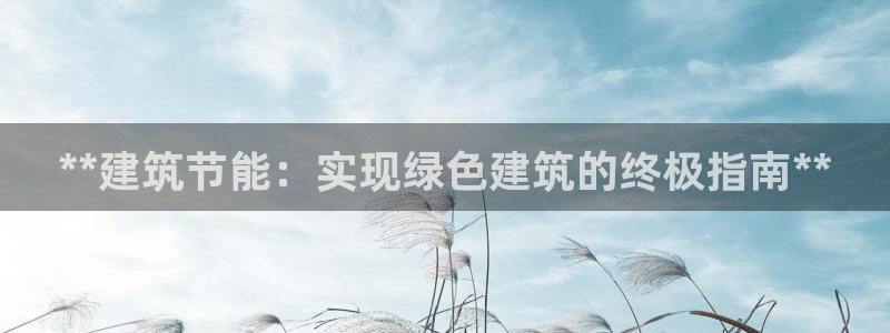 e尊体育：**建筑节能：实现绿色建筑的终极指南**