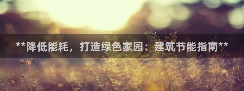 E尊国际网站：**降低能耗，打造绿色家园：建筑节能指南**
