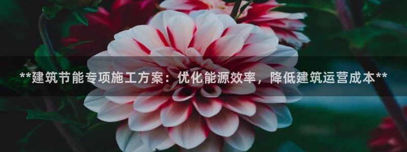 e尊国际客服：**建筑节能专项施工方案：优化能源效率，降低建筑运营成本**