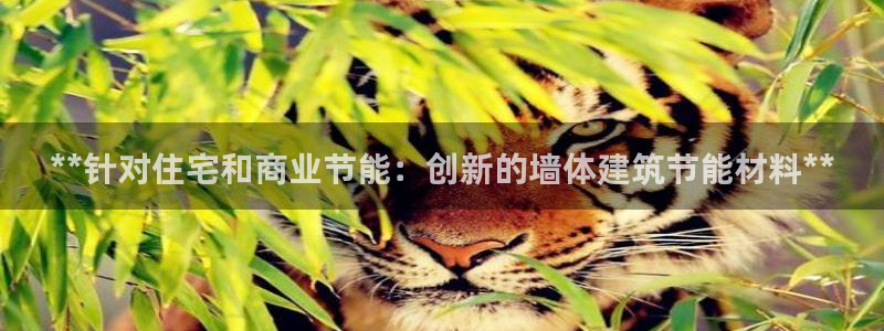 e尊国际客户端：**针对住宅和商业节能：创新的墙体建筑节能材料**