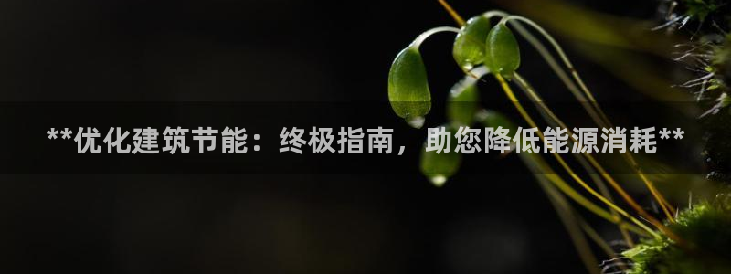 e尊国际地址：**优化建筑节能：终极指南，助您降低能源消耗**