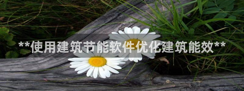 e尊国际地址：**使用建筑节能软件优化建筑能效**