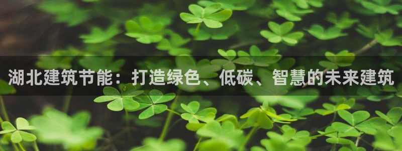 e尊国际官网·网址：湖北建筑节能：打造绿色、低碳、智慧的未来建筑