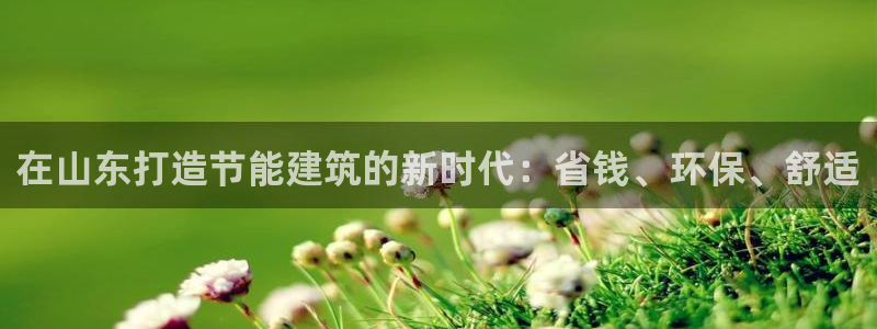 e尊国际是干什么的：在山东打造节能建筑的新时代：省钱、环保、舒适
