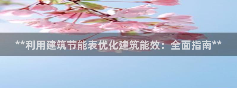 e尊国际地址：**利用建筑节能表优化建筑能效：全面指南**