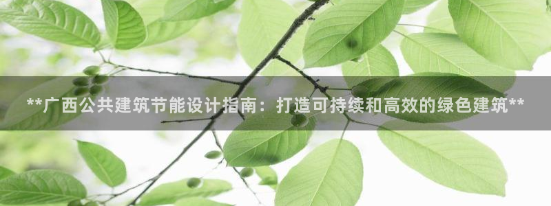 e尊国际是个黑网：**广西公共建筑节能设计指南：打造可持续和高效的绿色建筑**