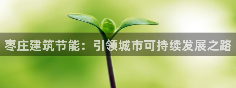 e尊国际娱乐官网地址：枣庄建筑节能：引领城市可持续发展之路