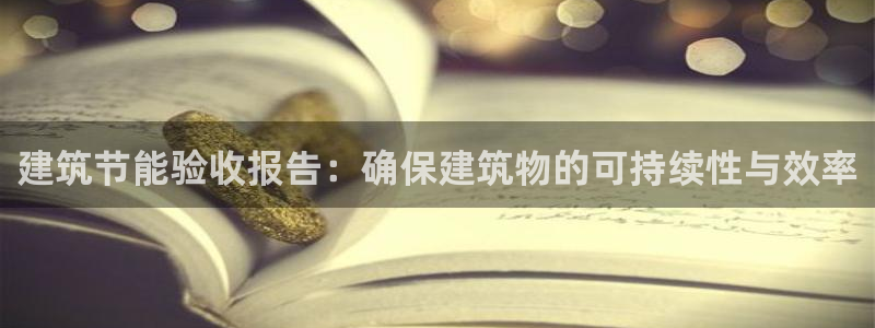 e尊国际是干什么的：建筑节能验收报告：确保建筑物的可持续性与效率