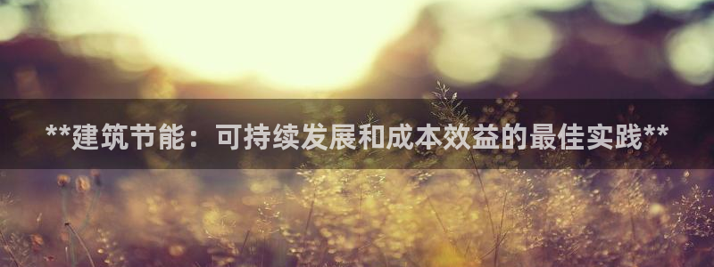 e尊国际是干什么的：**建筑节能：可持续发展和成本效益的最佳实践**