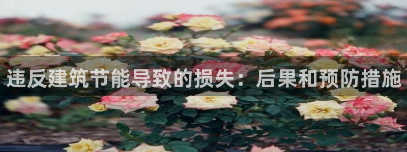 e尊国际是个黑网：违反建筑节能导致的损失：后果和预防措施
