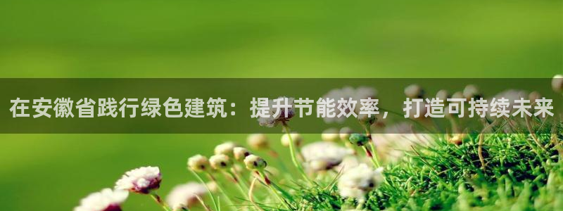 E尊国际网站：在安徽省践行绿色建筑：提升节能效率，打造可持续未来