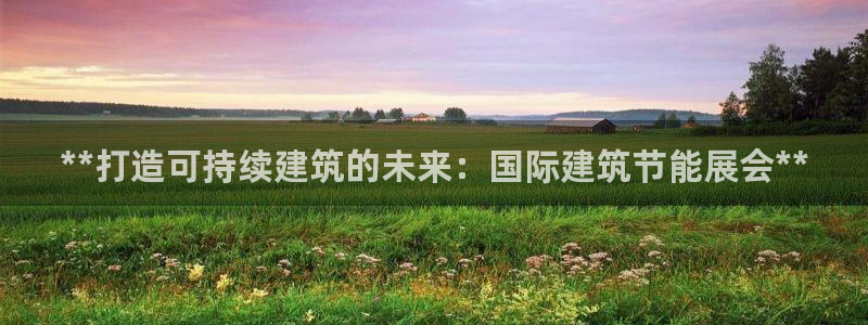 e尊国际地址：**打造可持续建筑的未来：国际建筑节能展会**
