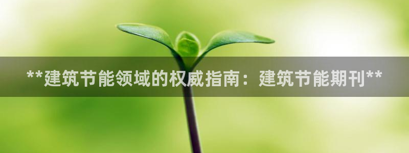 e尊电竞：**建筑节能领域的权威指南：建筑节能期刊**