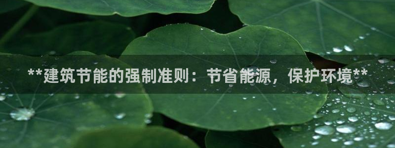e尊国际-e尊国际官网：**建筑节能的强制准则：节省能源，保护环境**