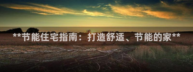 e尊国际是干什么的：**节能住宅指南：打造舒适、节能的家**