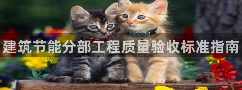 e尊国际平台：建筑节能分部工程质量验收标准指南