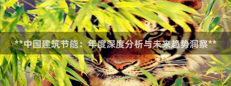 e尊国际-可可计划：**中国建筑节能：年度深度分析与未来趋势洞察**