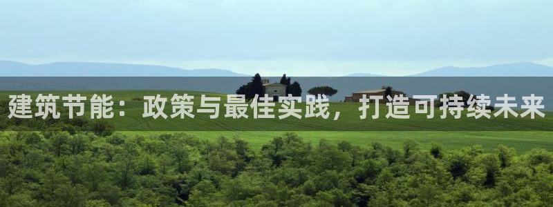 e尊国际可靠吗：建筑节能：政策与最佳实践，打造可持续未来