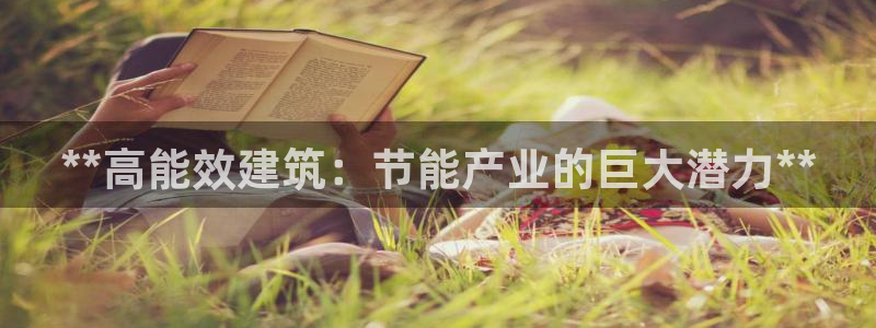 E尊国际网站：**高能效建筑：节能产业的巨大潜力**