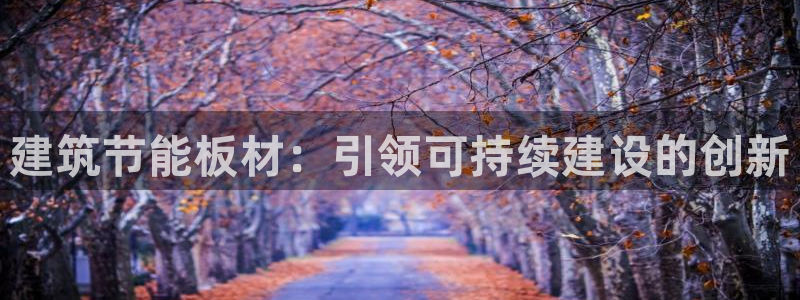e尊国际官网app：建筑节能板材：引领可持续建设的创新
