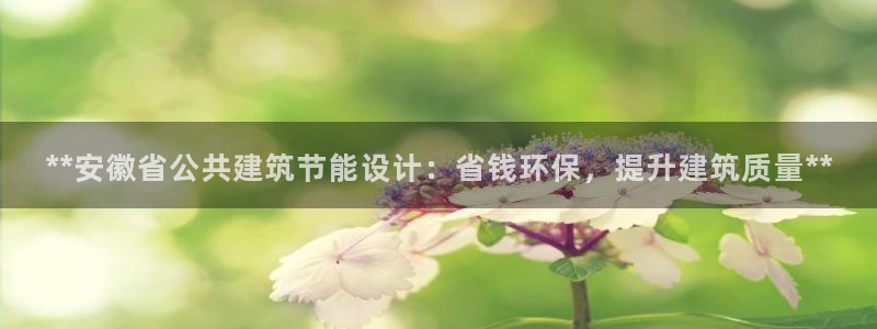 E尊国际：**安徽省公共建筑节能设计：省钱环保，提升建筑质量**
