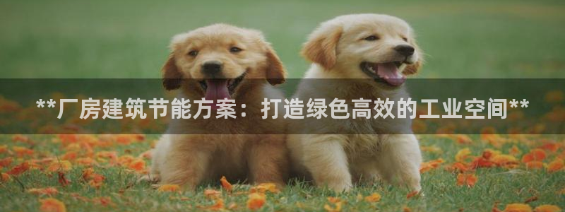 e尊国际-可可计划：**厂房建筑节能方案：打造绿色高效的工业空间**