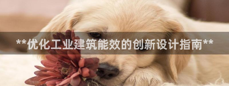 e尊国际平台：**优化工业建筑能效的创新设计指南**