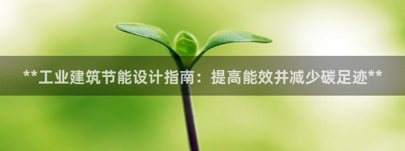 e尊平台：**工业建筑节能设计指南：提高能效并减少碳足迹**