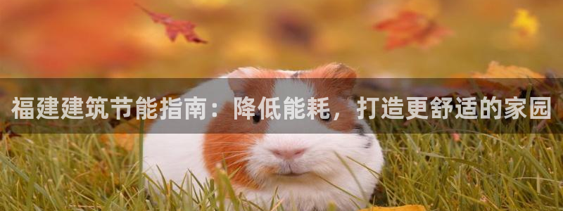 e尊国际官方网站：福建建筑节能指南：降低能耗，打造更舒适的家园