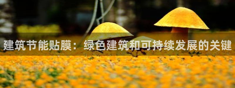 e尊国际地址：建筑节能贴膜：绿色建筑和可持续发展的关键