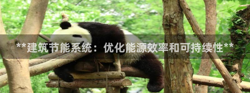 e尊国际平台：**建筑节能系统：优化能源效率和可持续性**