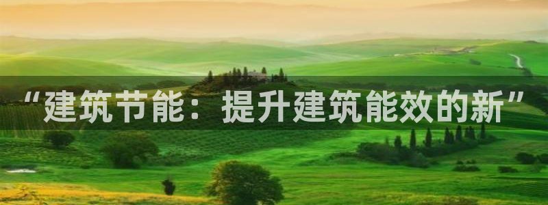 E尊国际：“建筑节能：提升建筑能效的新”