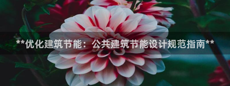 尊亿游戏国际官网：**优化建筑节能：公共建筑节能设计规范指南**