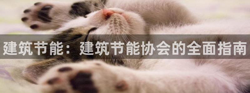 尊亿游戏国际官网：建筑节能：建筑节能协会的全面指南