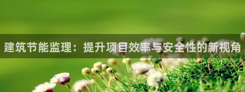e尊体育：建筑节能监理：提升项目效率与安全性的新视角
