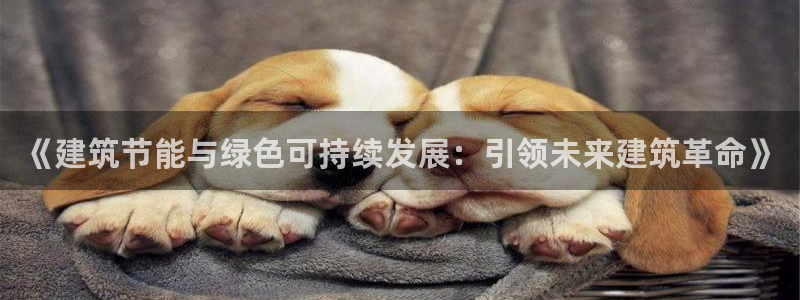 e尊国际客户端