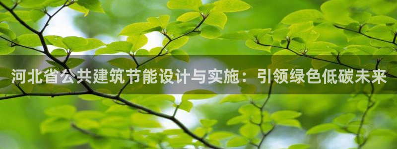 e尊国际是干什么的：河北省公共建筑节能设计与实施：引领绿色低碳未来