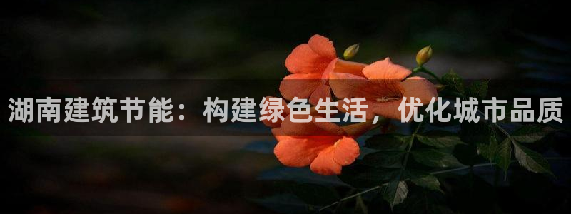 e尊国际官网app：湖南建筑节能：构建绿色生活，优化城市品质