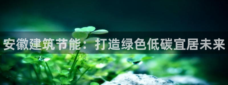 e尊国际app：安徽建筑节能：打造绿色低碳宜居未来