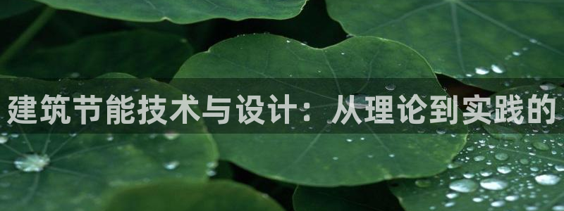 e尊官网：建筑节能技术与设计：从理论到实践的