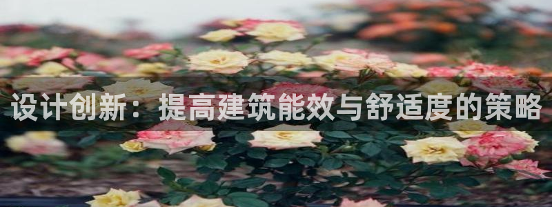 e尊国际娱乐官网地址：设计创新：提高建筑能效与舒适度的策略