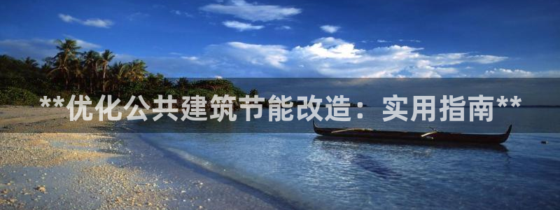 e尊国际-可可计划：**优化公共建筑节能改造：实用指南**