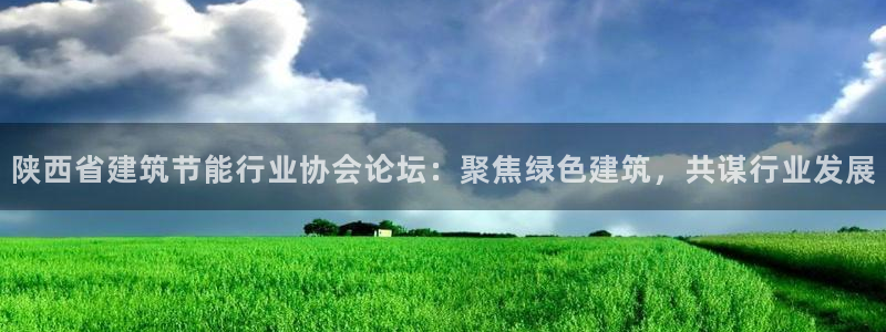 e尊国际7779：陕西省建筑节能行业协会论坛：聚焦绿色建筑，共谋行业发展