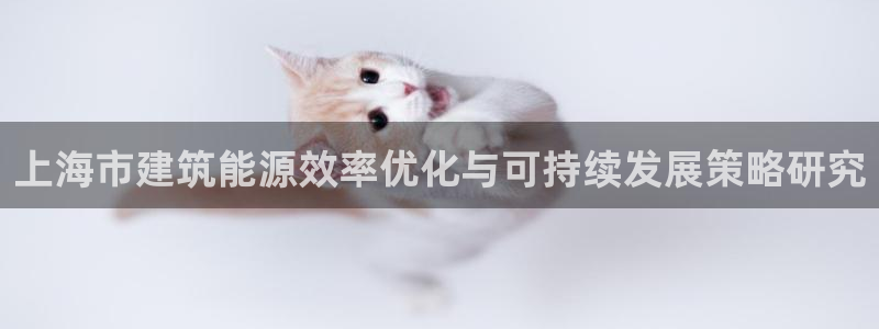 e尊国际平台：上海市建筑能源效率优化与可持续发展策略研究