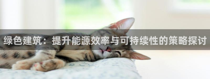 E尊国际：绿色建筑：提升能源效率与可持续性的策略探讨