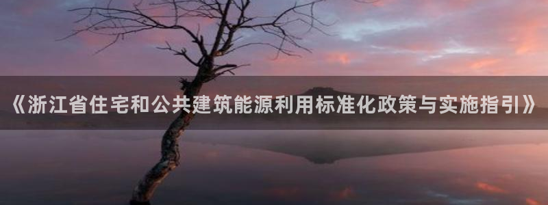 e尊国际可靠吗：《浙江省住宅和公共建筑能源利用标准化政策与实施指引》