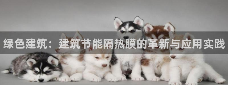 e尊国际官网·网址