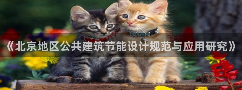 e尊国际平台：《北京地区公共建筑节能设计规范与应用研究》