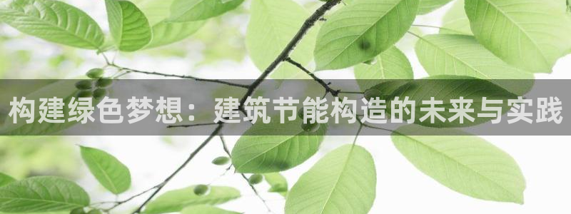 e尊国际官网·网址