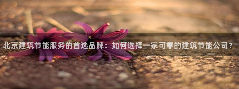 e尊电竞